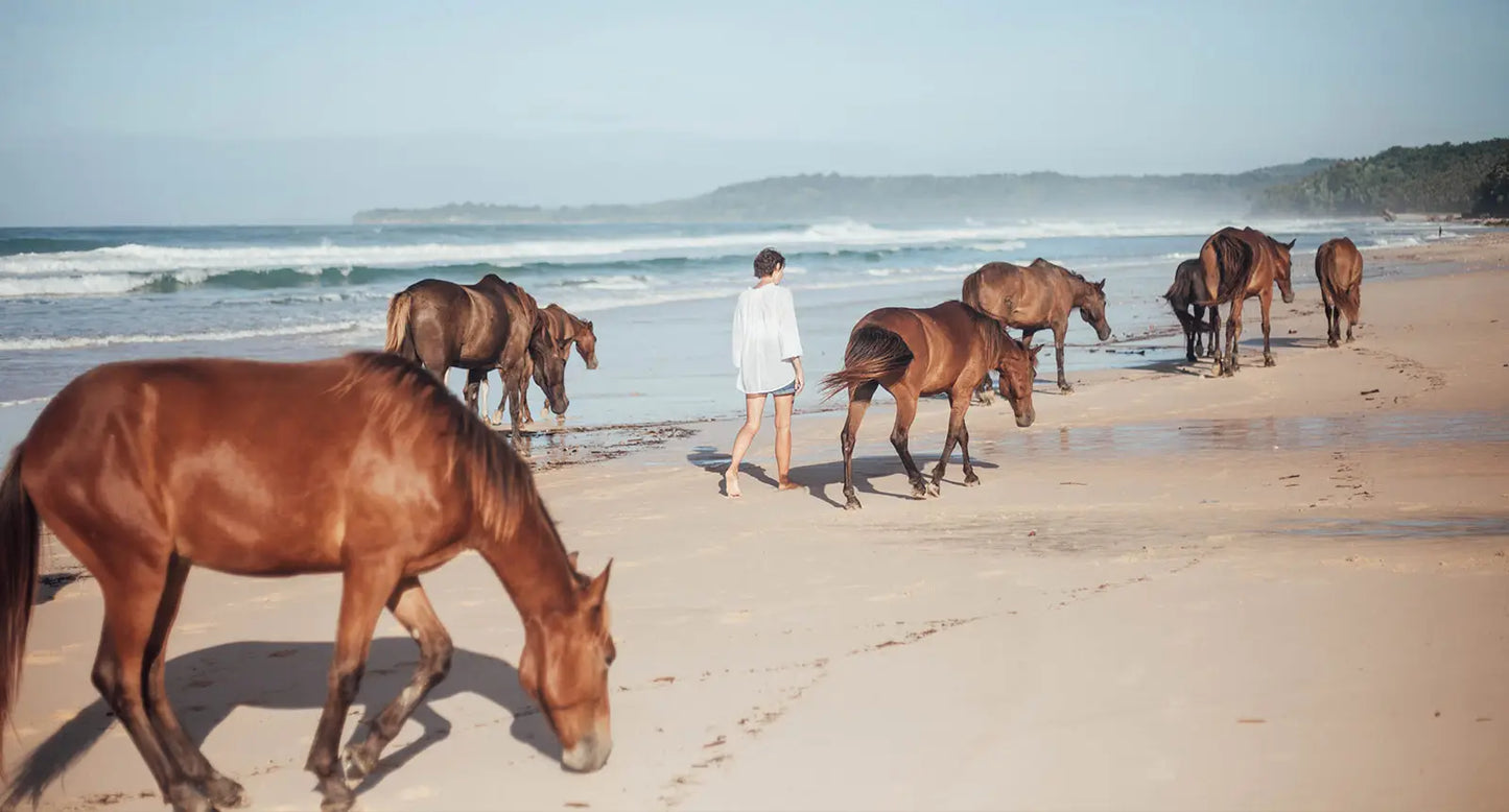 Equine Intuitive Awareness Retreat – A Healing Journey With Horses on Sumba Island