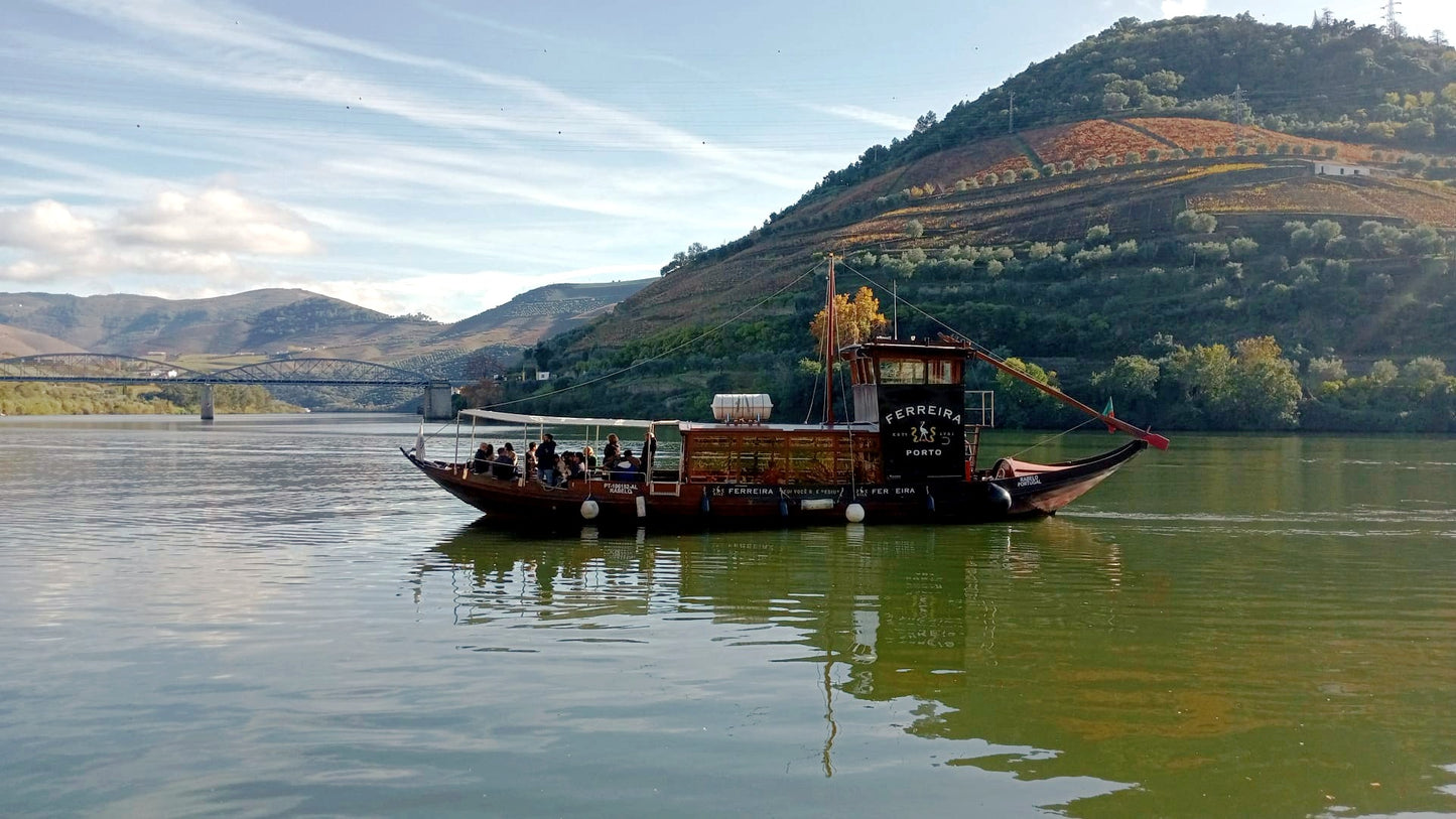 Cruise, Lunch and Wine Tastings in Douro Valley in Porto