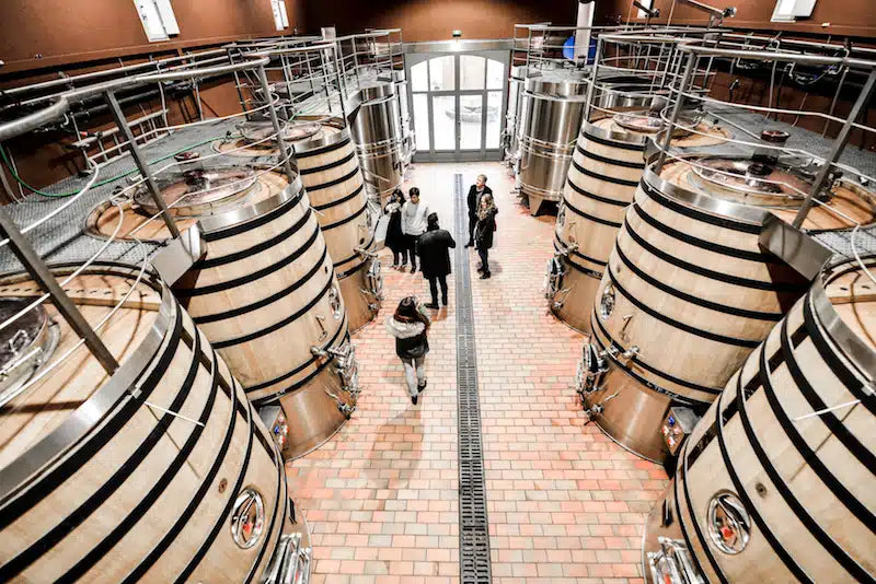 From Graves to Sauternes: The Essence of Bordeaux Wine