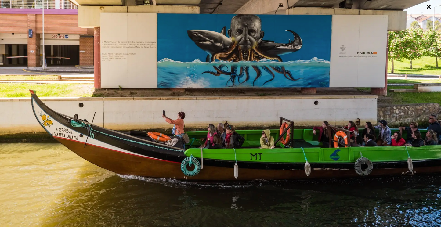 Aveiro & Coimbra Day Tour – A Cultural and Scenic Experience