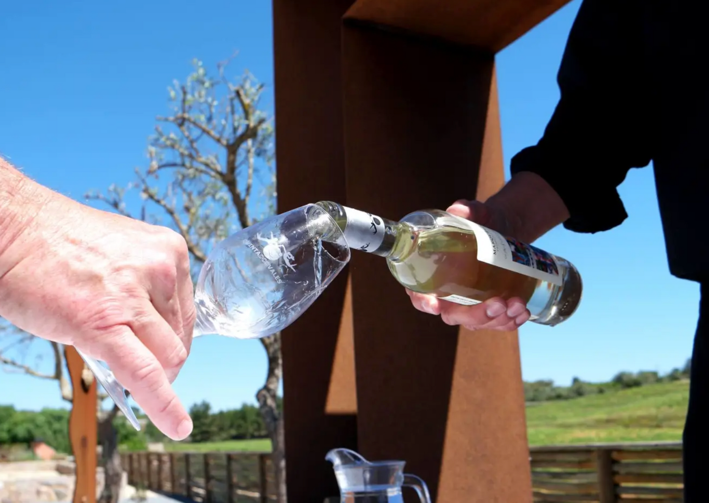 Create your own Bottle of Wine in Lagos