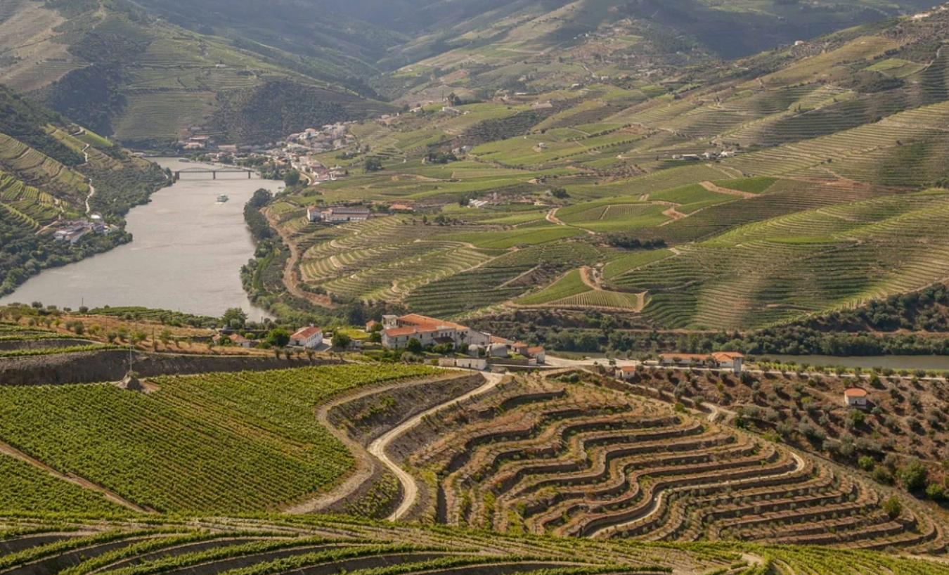 Cruise, Lunch and Wine Tastings in Douro Valley in Porto