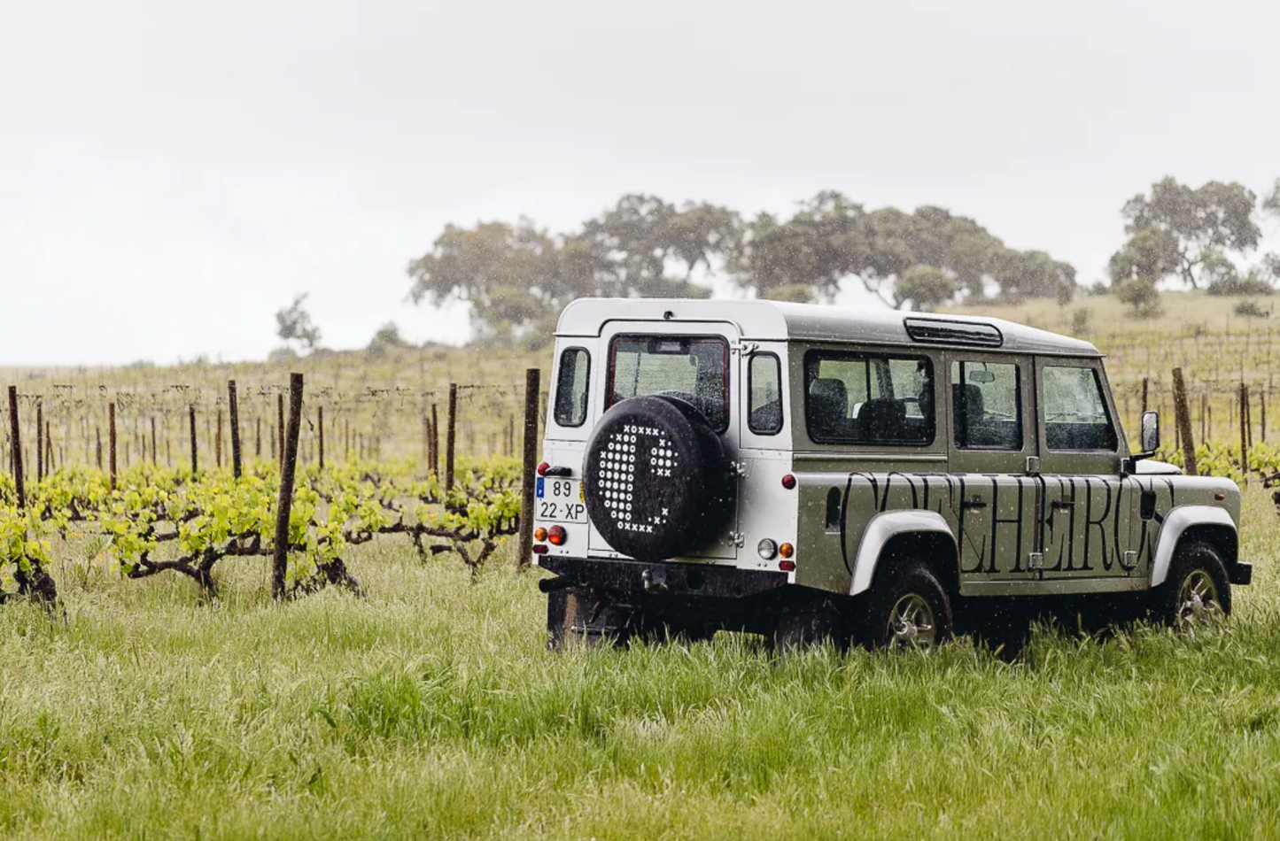 Cork & Terroir Wine Tasting & Lunch near Lisbon