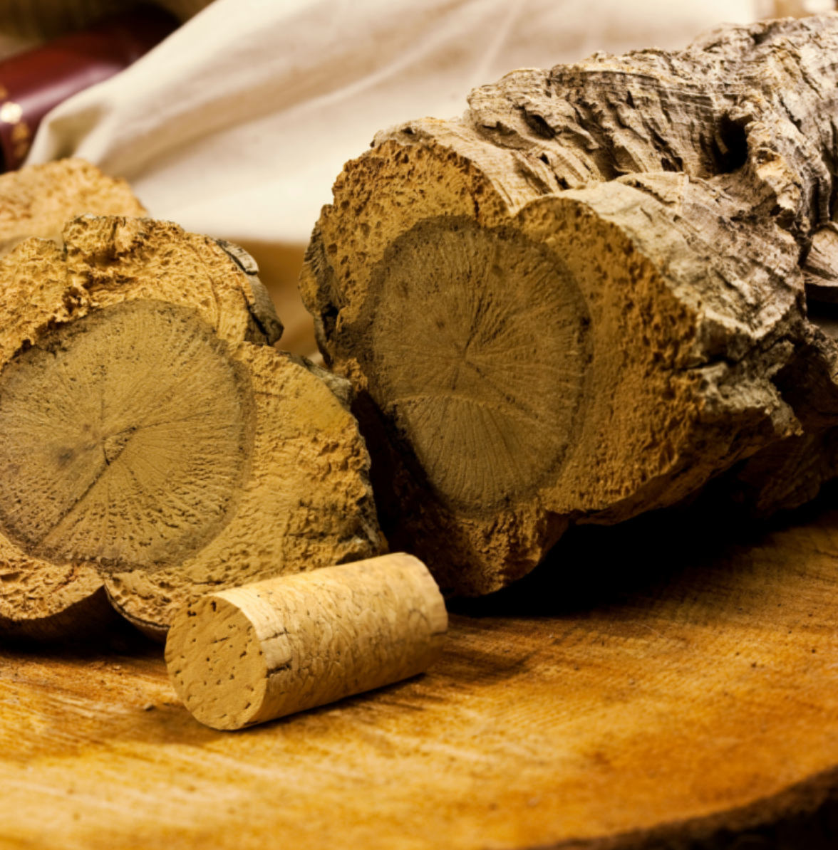 Cork & Terroir Wine Tasting & Lunch near Lisbon