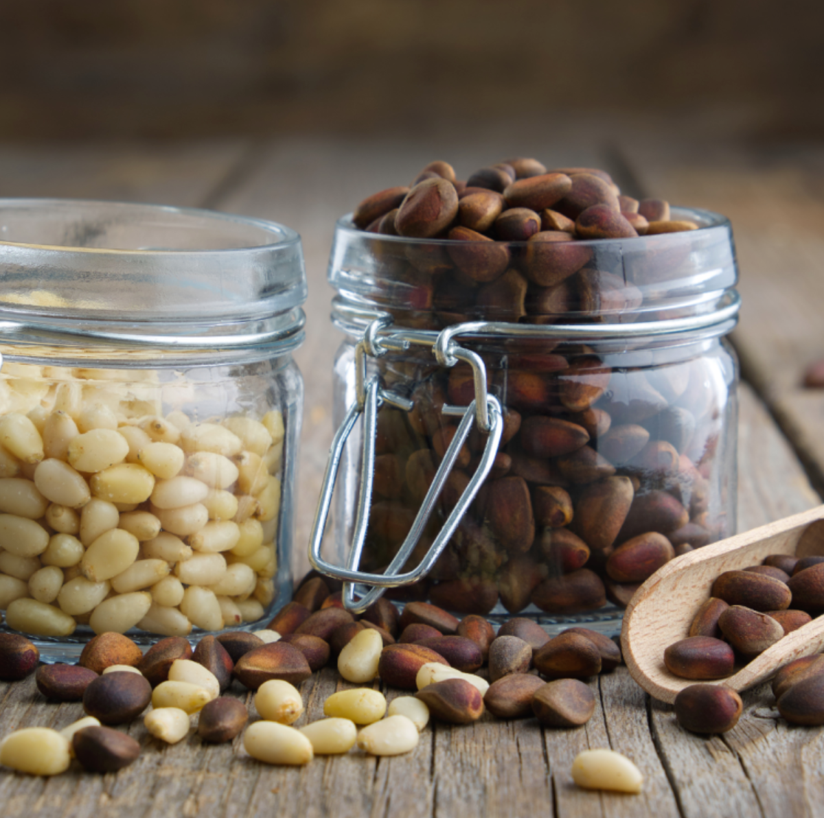 Collect Pine Nuts and Make a Pesto near Faro