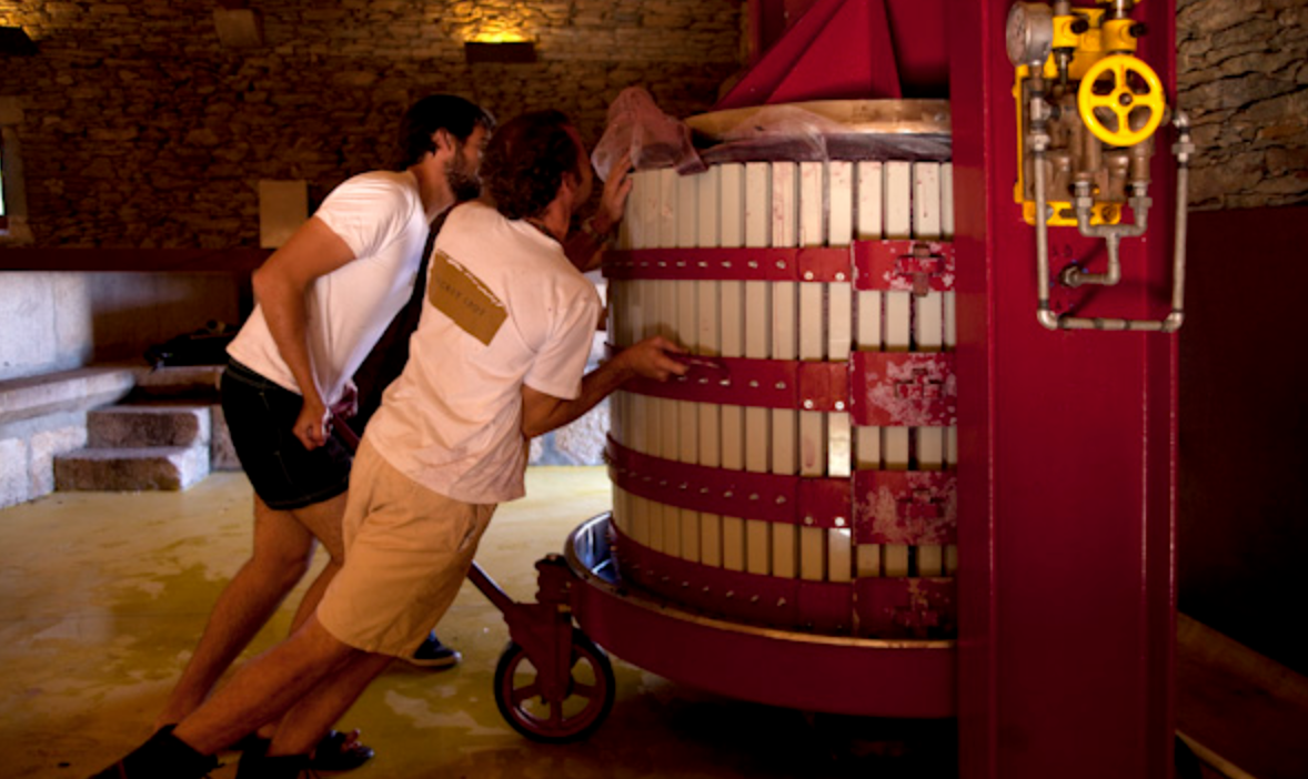 Quinta da Faísca Wine Tasting Experiences