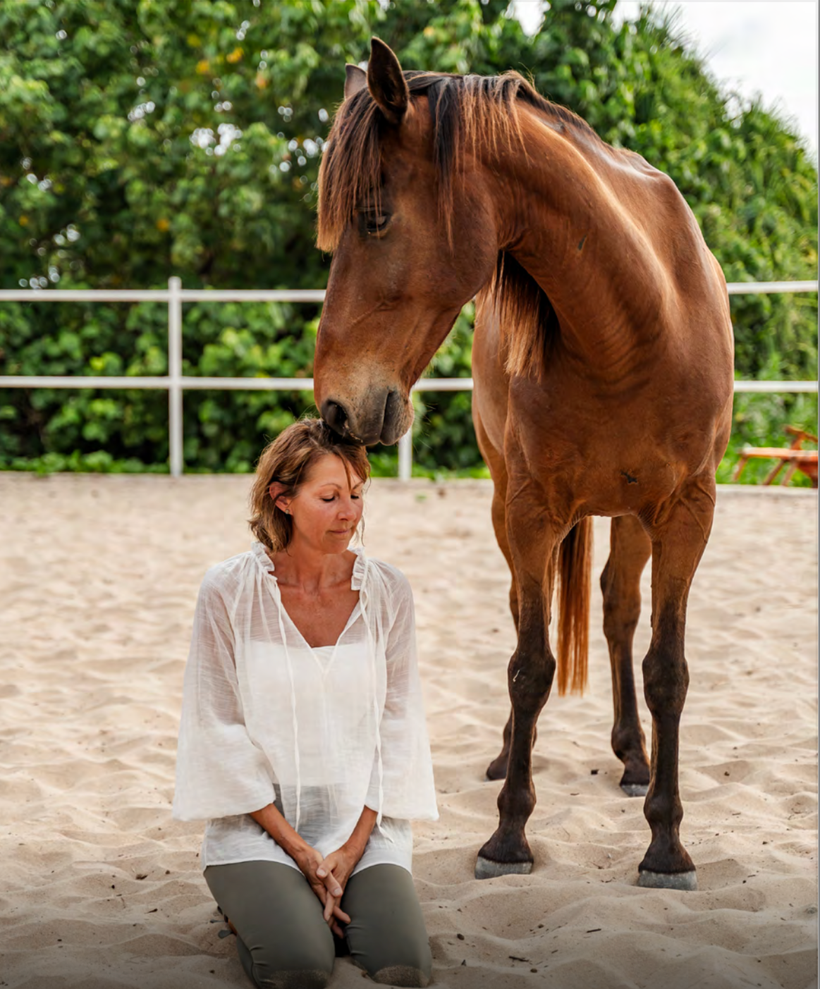 Equine Intuitive Awareness Retreat – A Healing Journey With Horses on Sumba Island