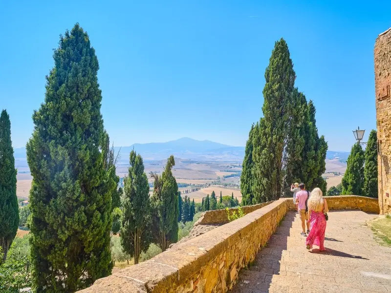 Val d’Orcia Wine Experience: Day Trip with Two Tastings from Florence