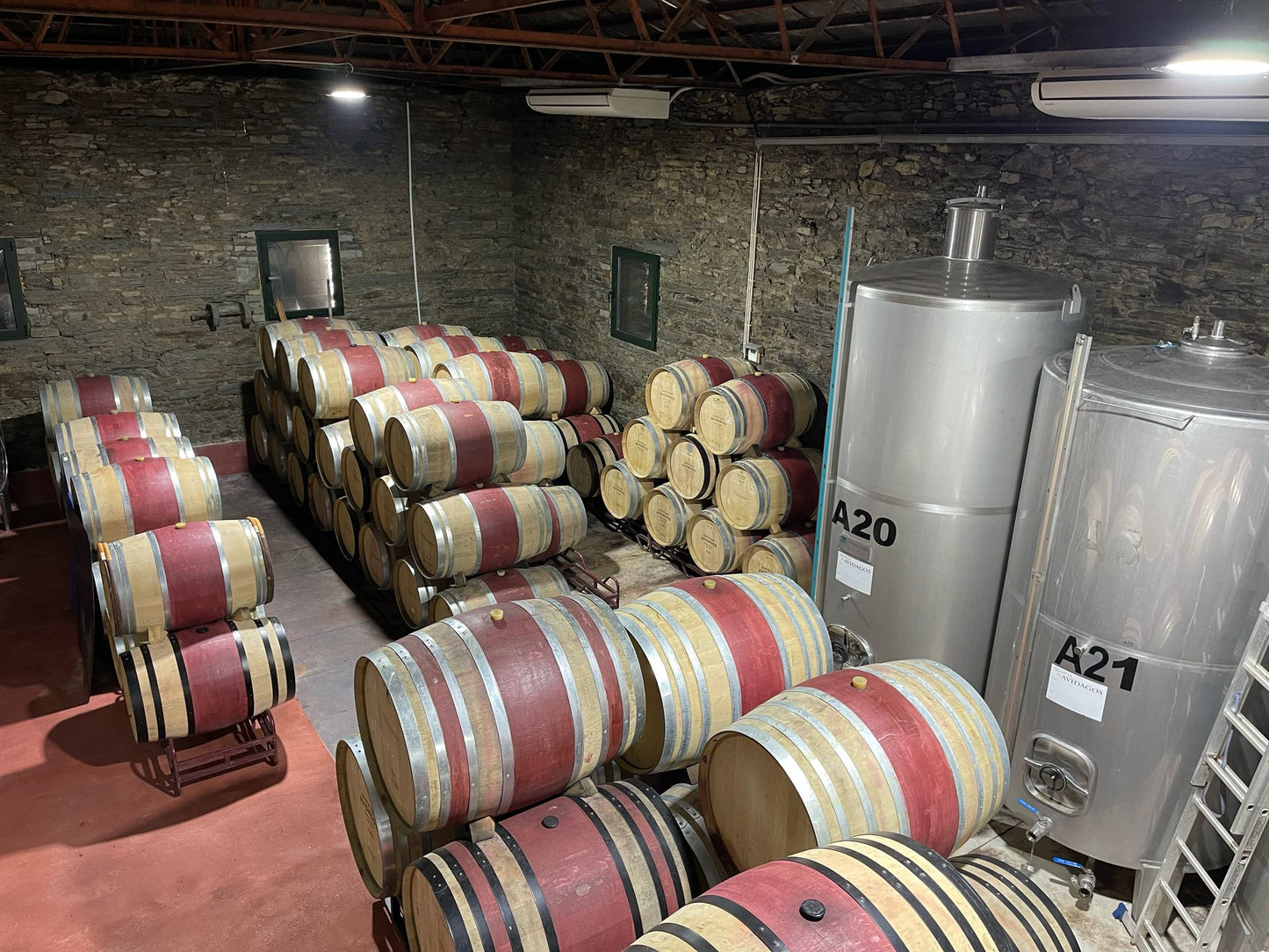 Wine Tasting at Quinta dos Avidagos near Porto