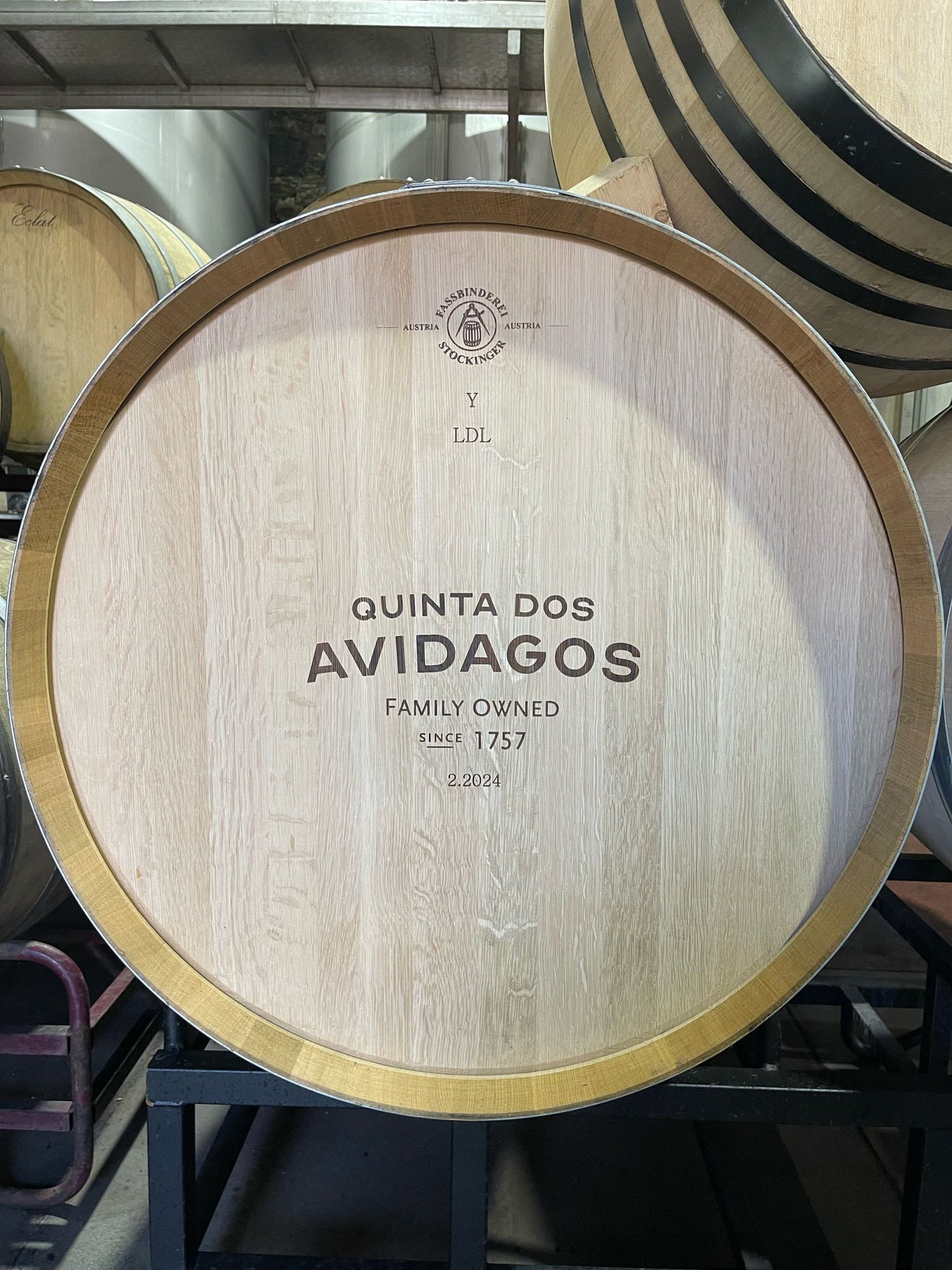 Wine Tasting at Quinta dos Avidagos near Porto