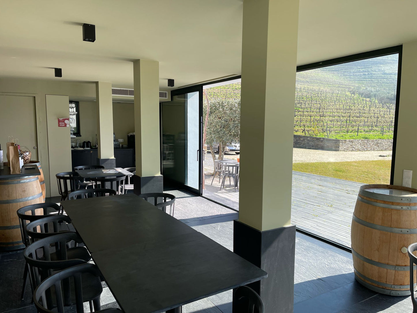 Wine Tasting at Quinta dos Avidagos near Porto