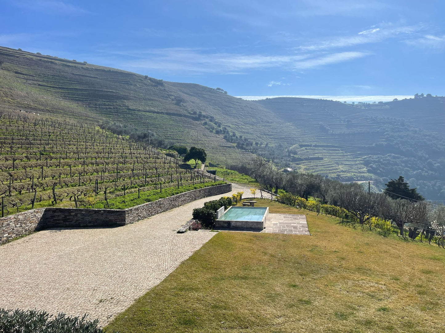 Wine Tasting at Quinta dos Avidagos near Porto