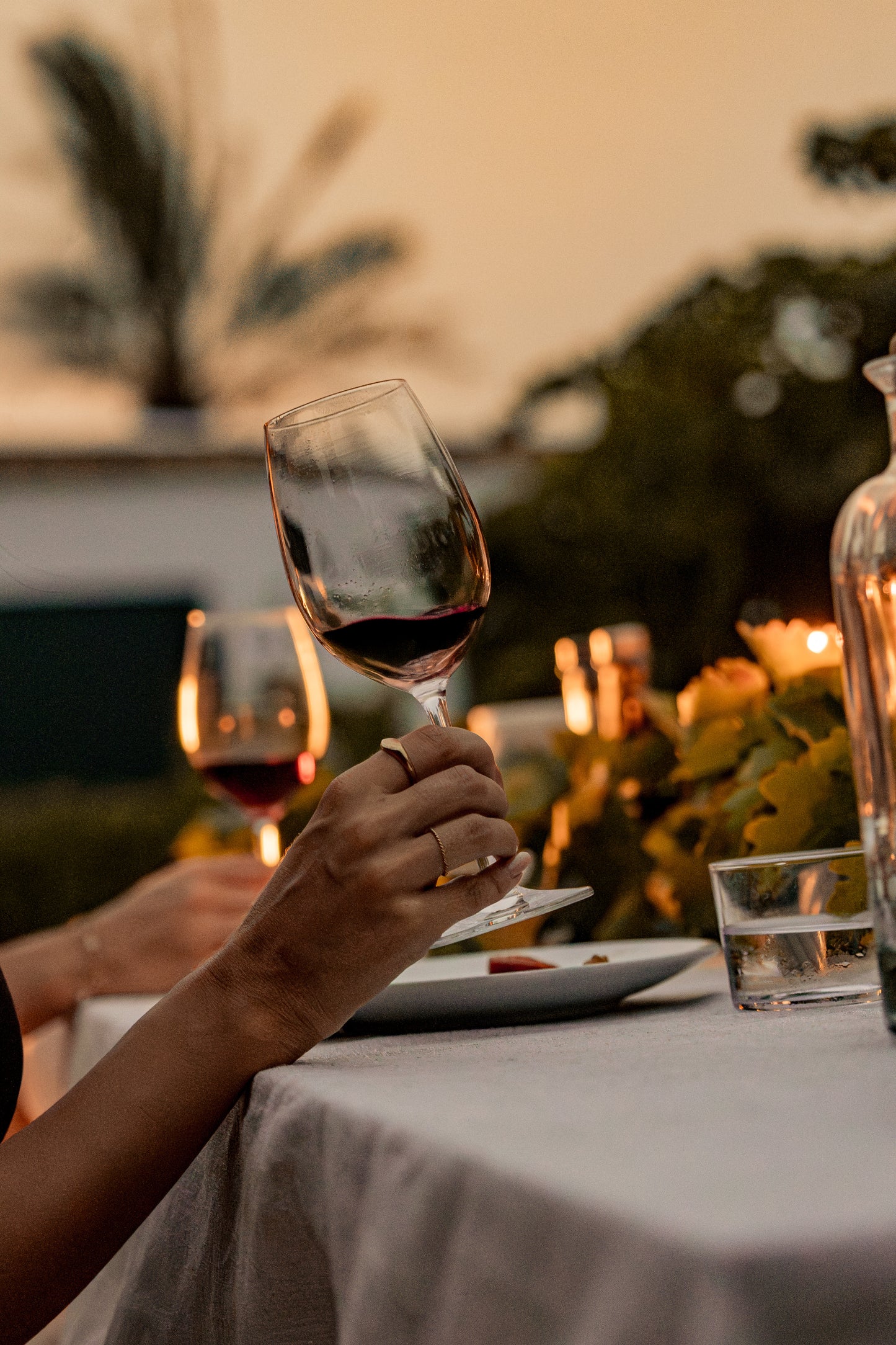 Barcelona: Penedés Simple Wine & Exclusive Cava Tasting + Vineyard Visit + Harvest + Traditional Grape Stomping