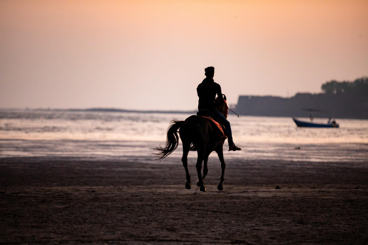 Matapalo, Costa Rica: 1-Hour Private Scenic Beach Ride