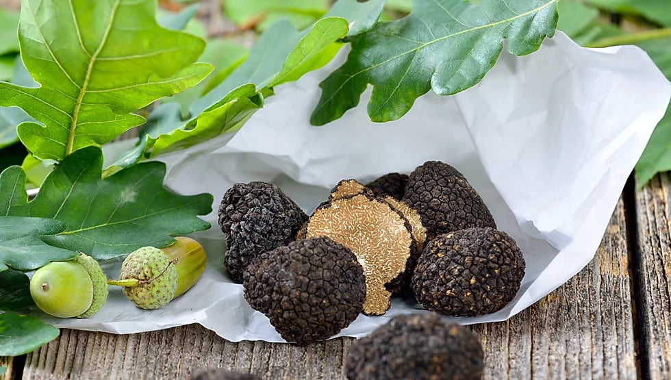 A Day in Dordogne: A Luxurious Black Truffle Adventure