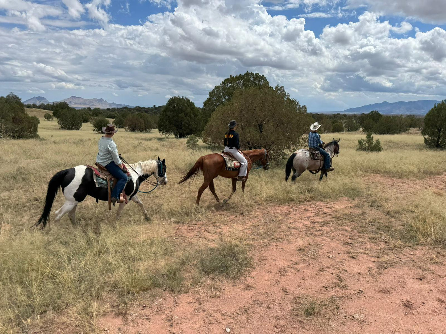 Elgin: Woodland Gallop Horseback Ride + Pick-up Available