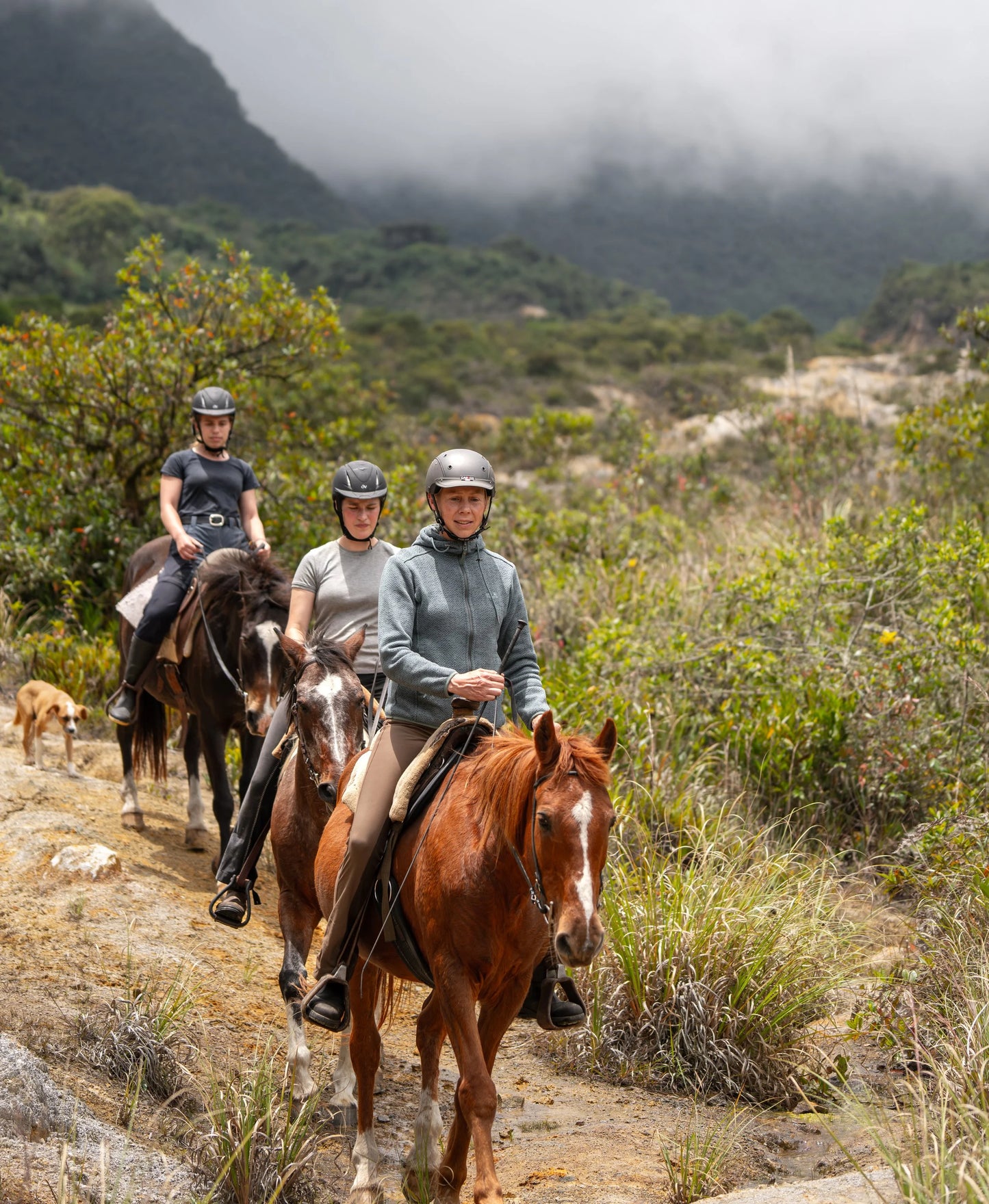 Pichincha: Heartwood Horse Adventure + Lunch + Pick-Up & Drop-off