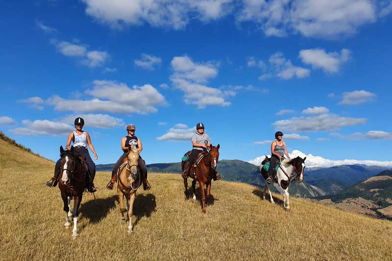 A Full-Day Ride in New Zealand’s Hill Country