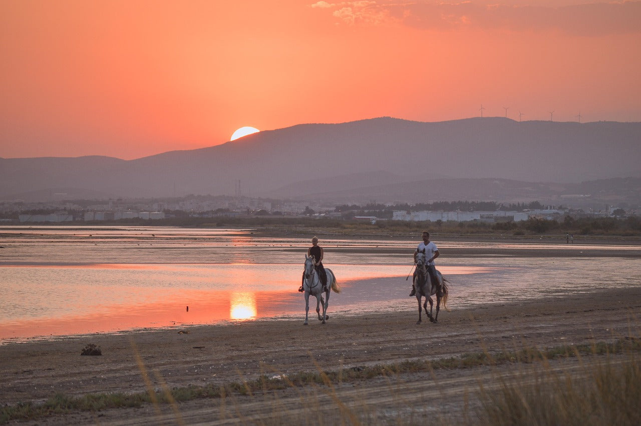 Matapalo, Costa Rica: 1-Hour Private Scenic Beach Ride