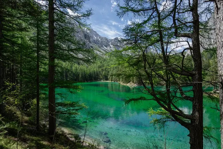 Austrian Alps Adventure: Green Lake Private Tour from Vienna