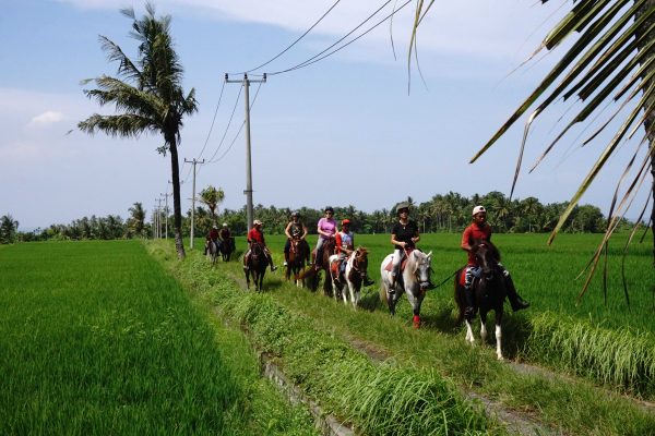 Bali: 1.5 Hour Coastal Cliffs & Countryside Horseback Tour + Pick Up