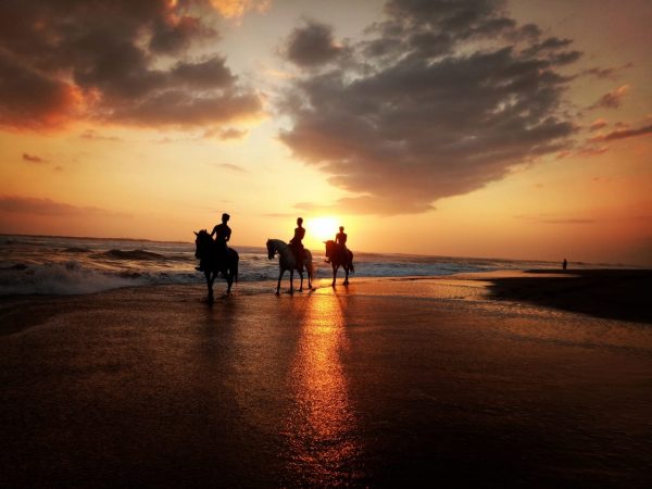 Bali: 1.5 Hour Coastal Cliffs & Countryside Horseback Tour + Pick Up