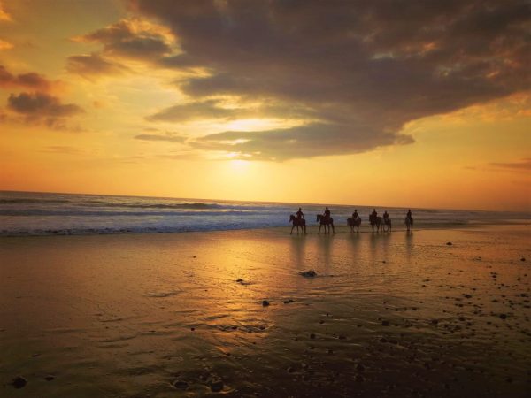 Bali: 1.5 Hour Coastal Cliffs & Countryside Horseback Tour + Pick Up
