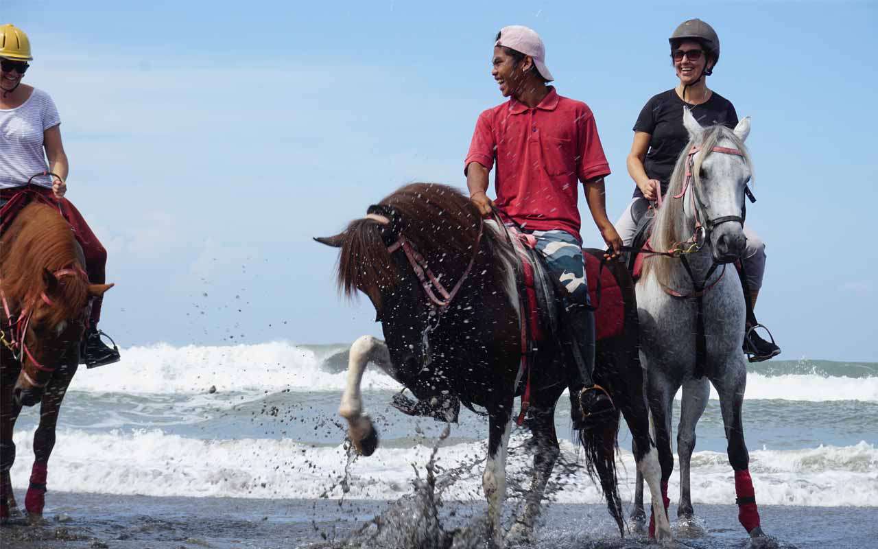 Bali: 1.5 Hour Coastal Cliffs & Countryside Horseback Tour + Pick Up
