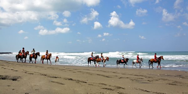 Bali: 1.5 Hour Coastal Cliffs & Countryside Horseback Tour + Pick Up