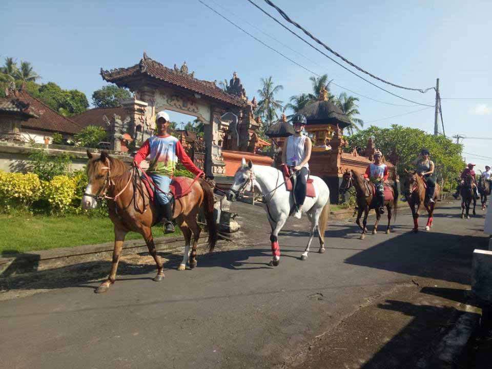 Bali: 1.5 Hour Coastal Cliffs & Countryside Horseback Tour + Pick Up