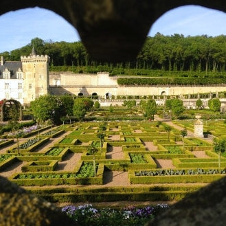 Villandry Gardens, Azay le Rideau Château and Vouvray Wine Tour, Loire