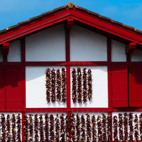 Basque Country Getaway: A Private Journey Through History & Scenery