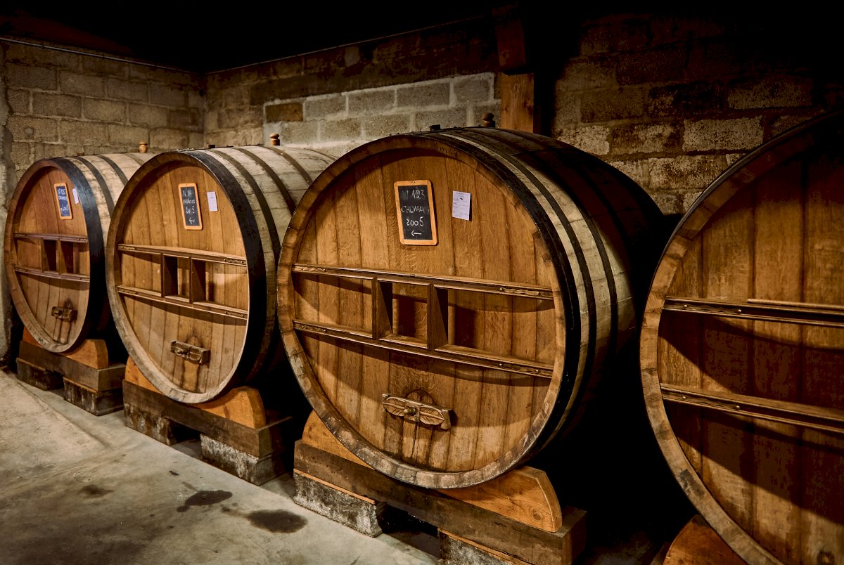 Flavours of the Pays d’Auge: Honfleur, Beuvron & Calvados Tasting, Normandy