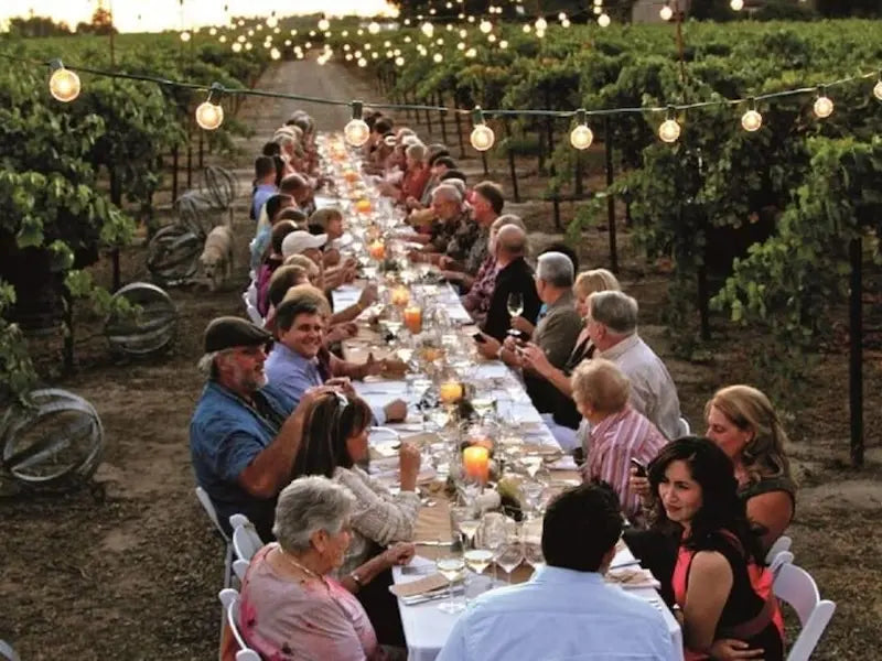 Discover Chianti Vineyards: 3-Course Dinner with Transport from Florence