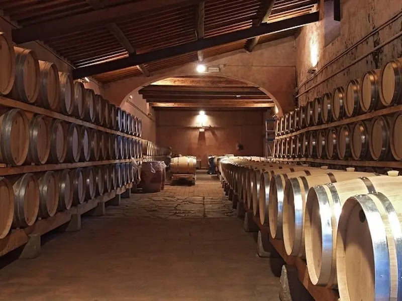 Discover Chianti Vineyards: 3-Course Dinner with Transport from Florence