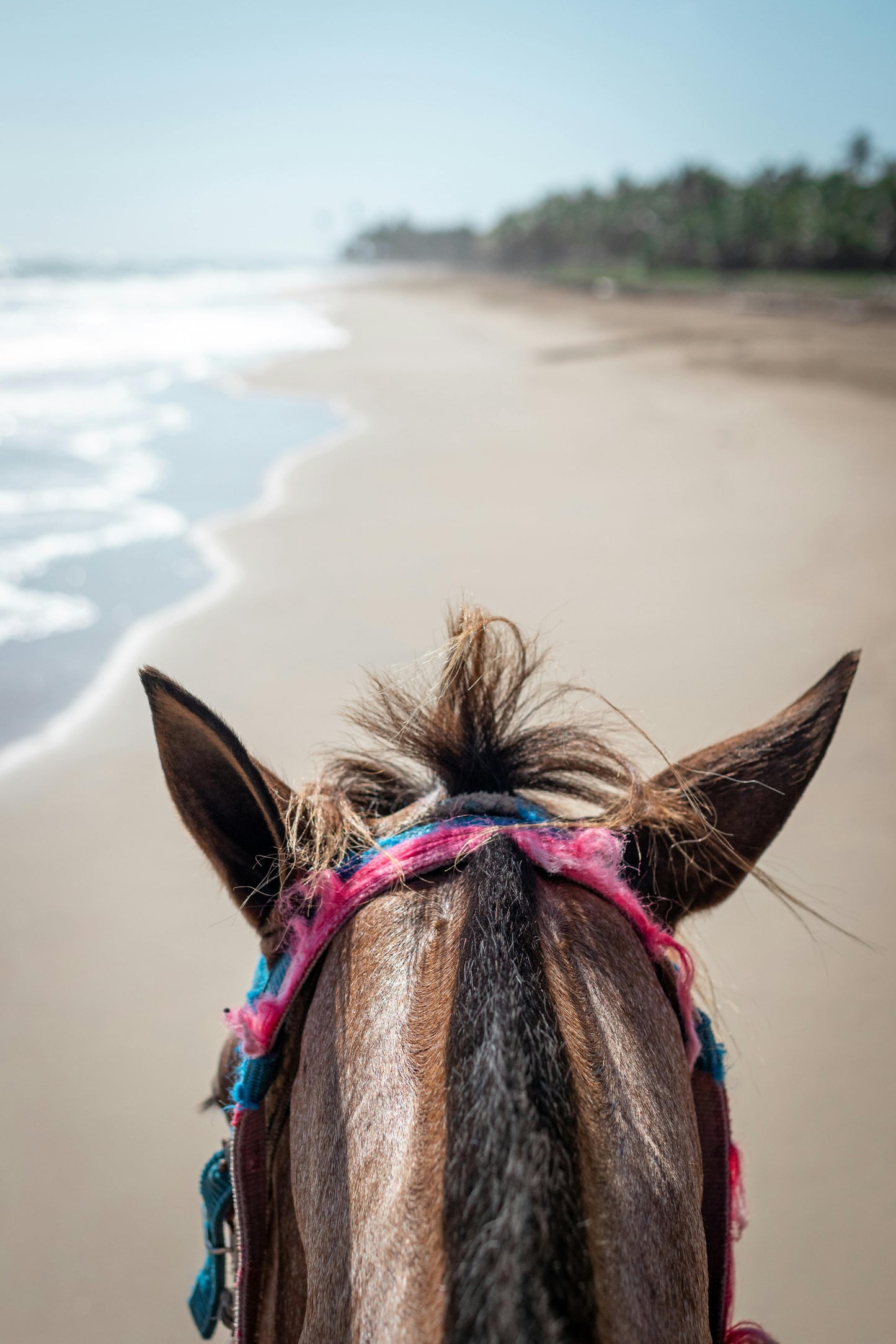Northland Region, New Zealand: 1.5-Hour Horse Riding Adventure at Uretiti Beach