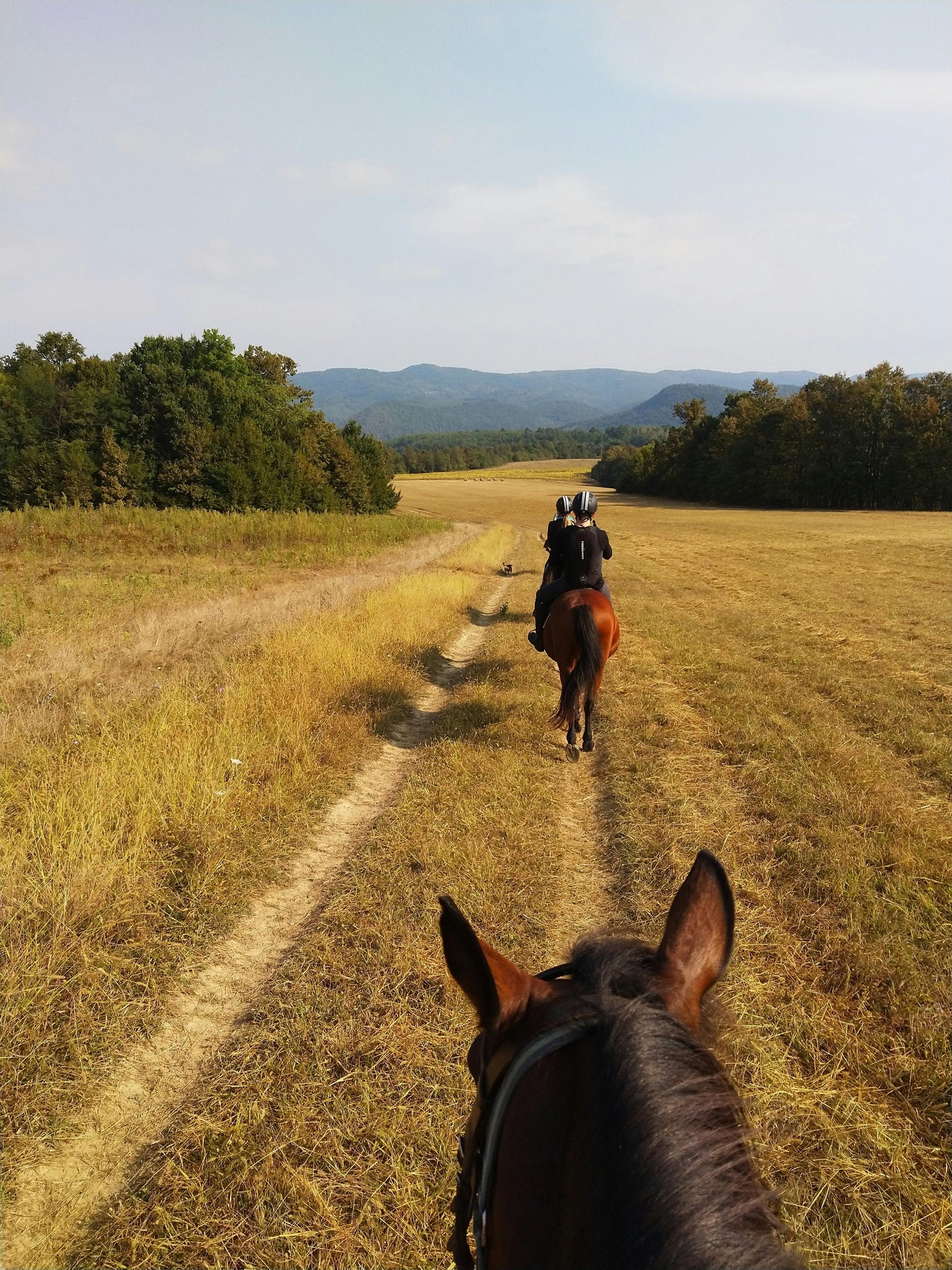 Asureti, Georgia: Full-Day Horseback Experience