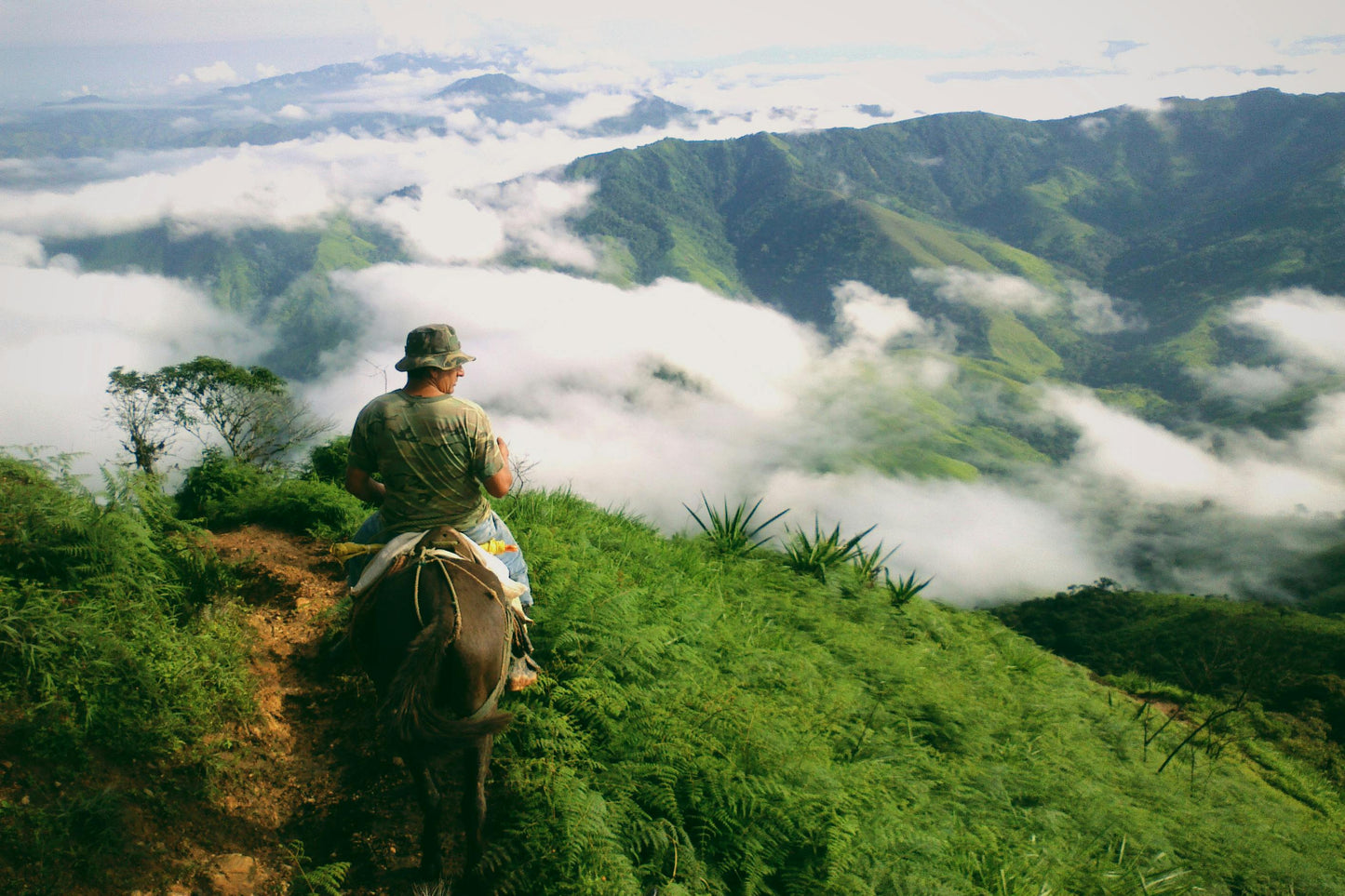 Cusco: Full-Day Rainbow Mountain Horse Ride + Lunch + Pick up