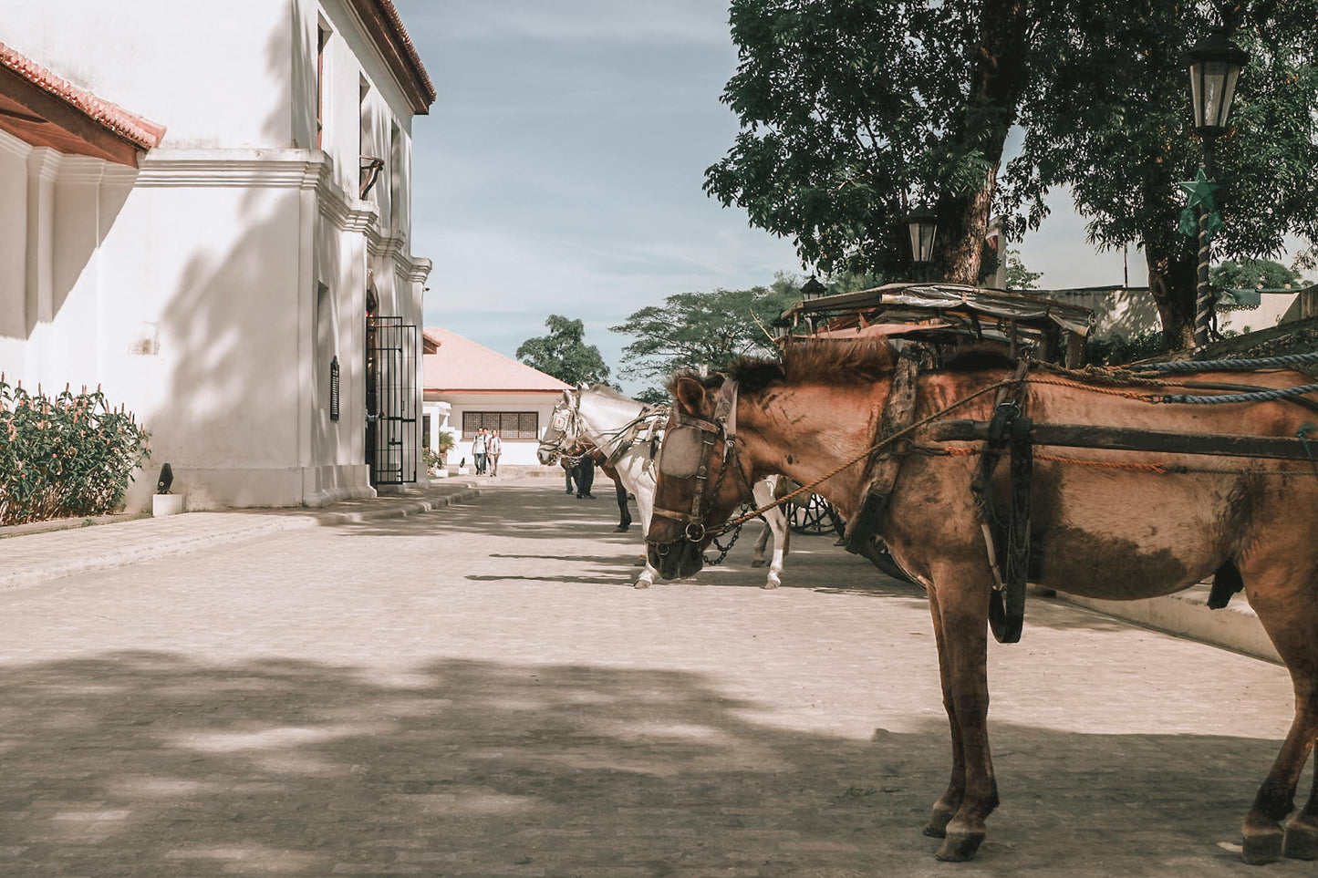 Ilocos, Philippines: 3 Day Tour with Sand Dunes & Heritage