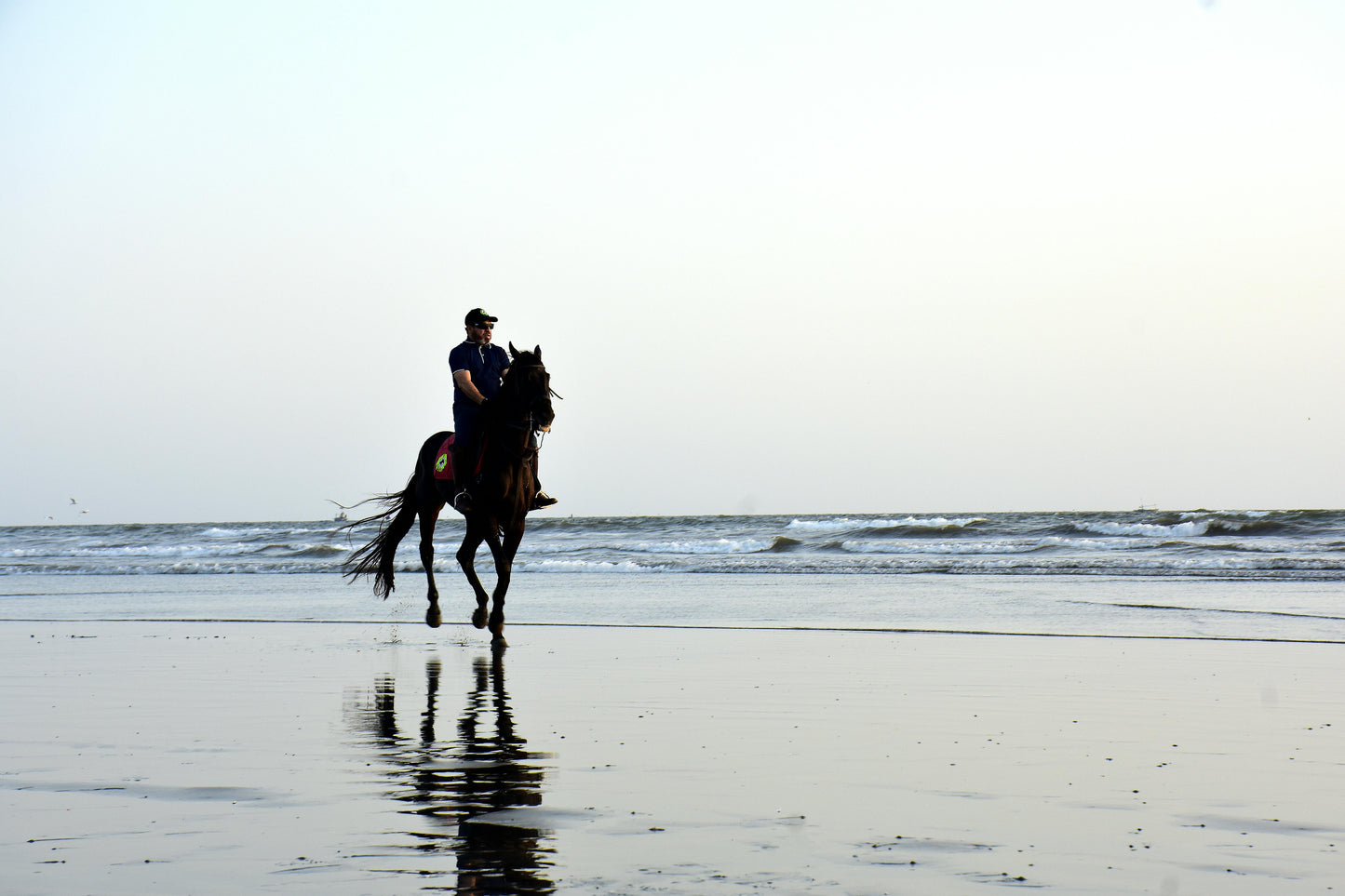 Aguadilla, Puerto Rico: Beach Horseback Experience