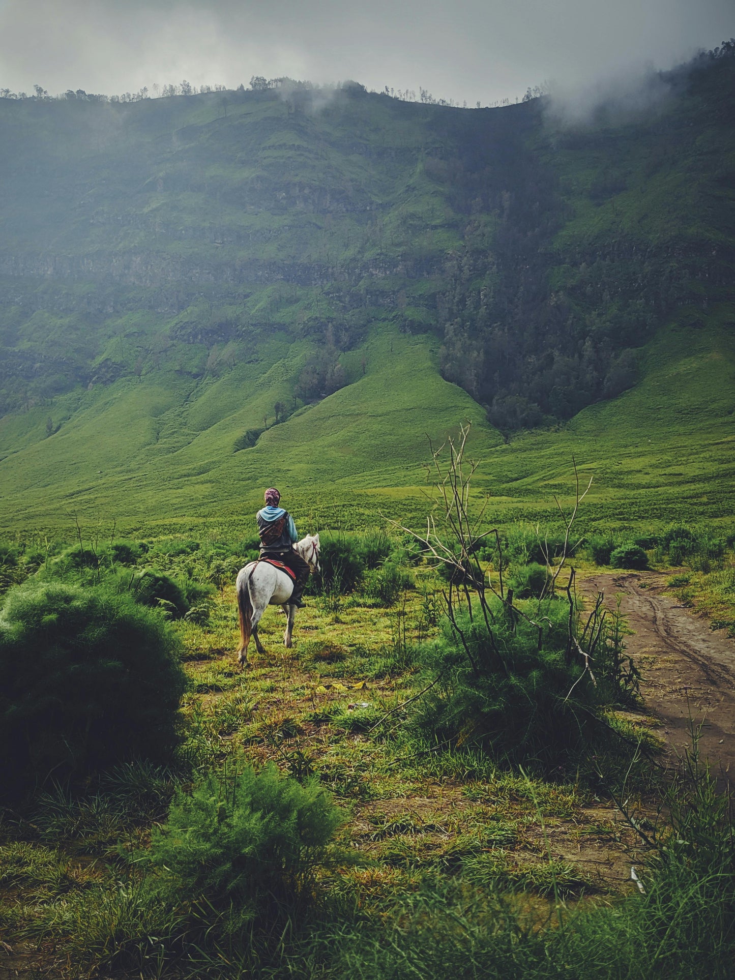 Húsavík, Iceland: Saltvík Horseback Riding Tour + Pick-Up Available