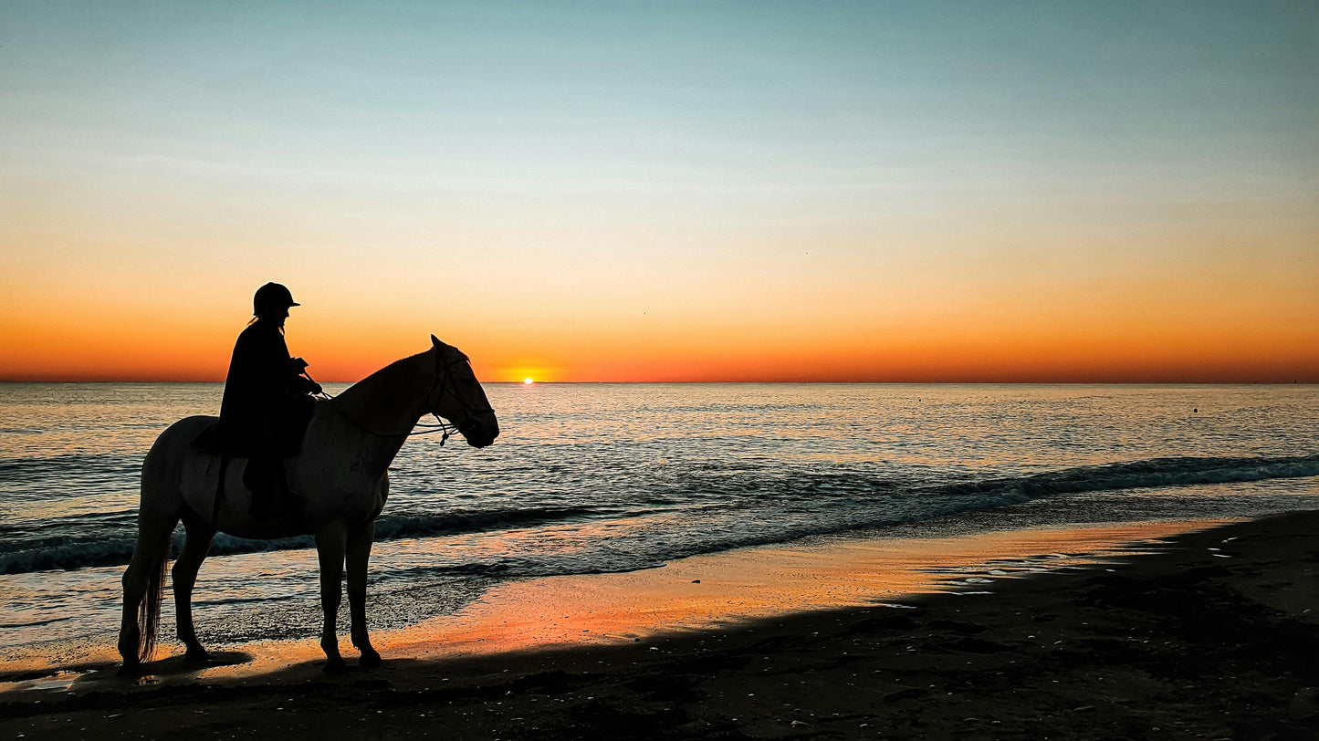 Essaouira, Morocco: Sunset Horseback Ride on the Beach