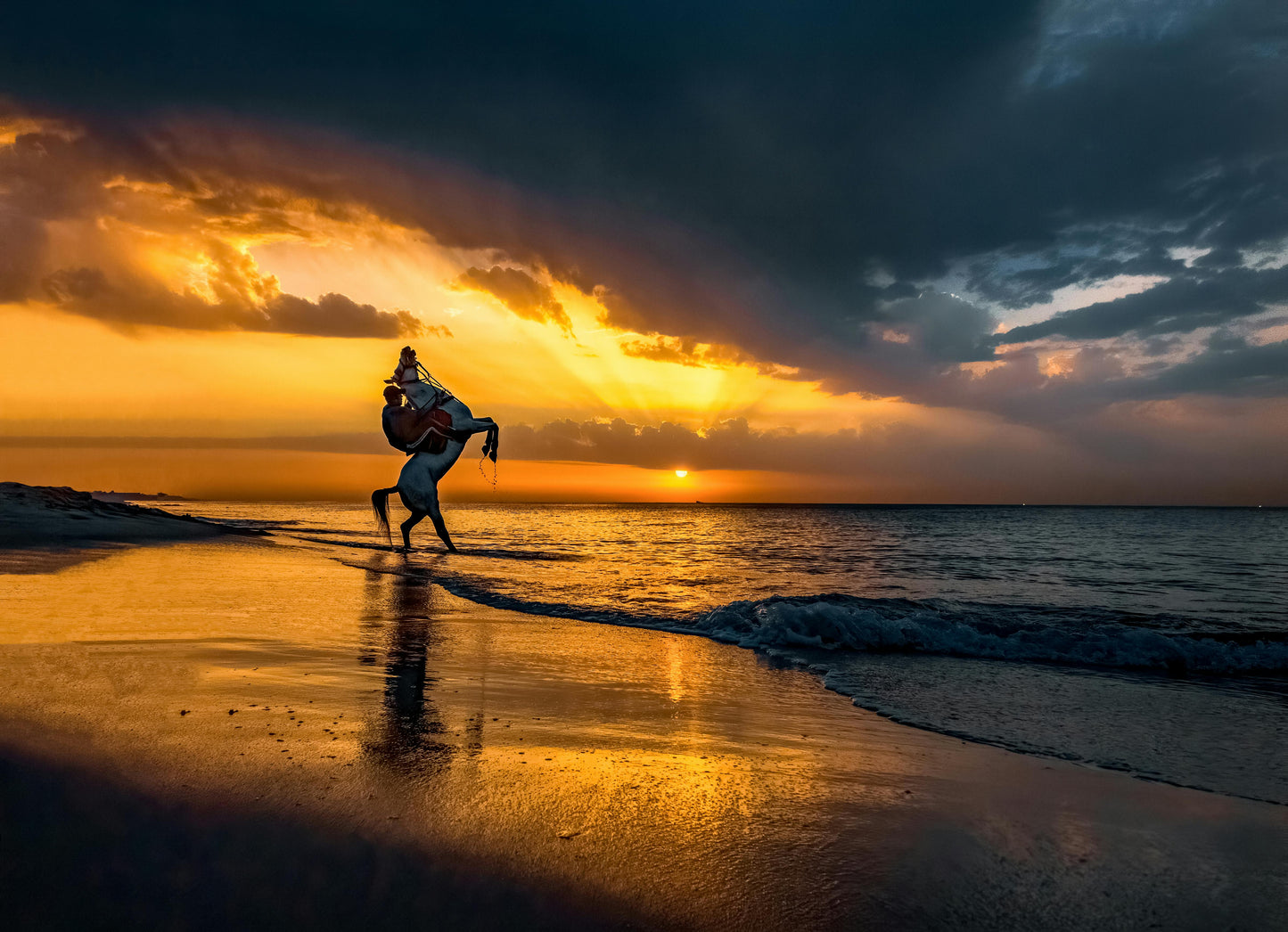 Aguadilla, Puerto Rico: Beach Horseback Experience