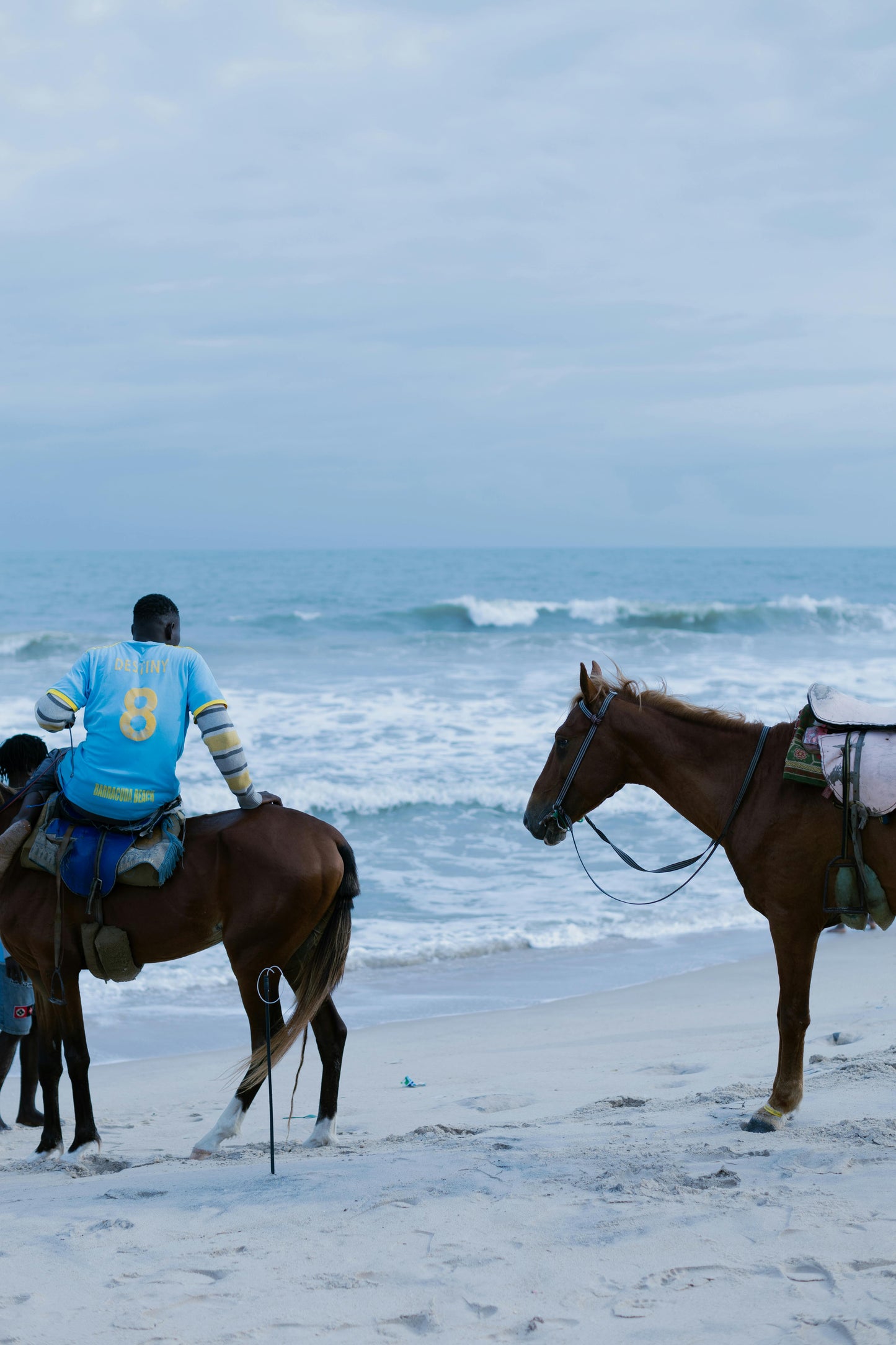 Húsavík, Iceland: 1.5-Hour Seaside Horseback Riding Tour + Pick-Up Available