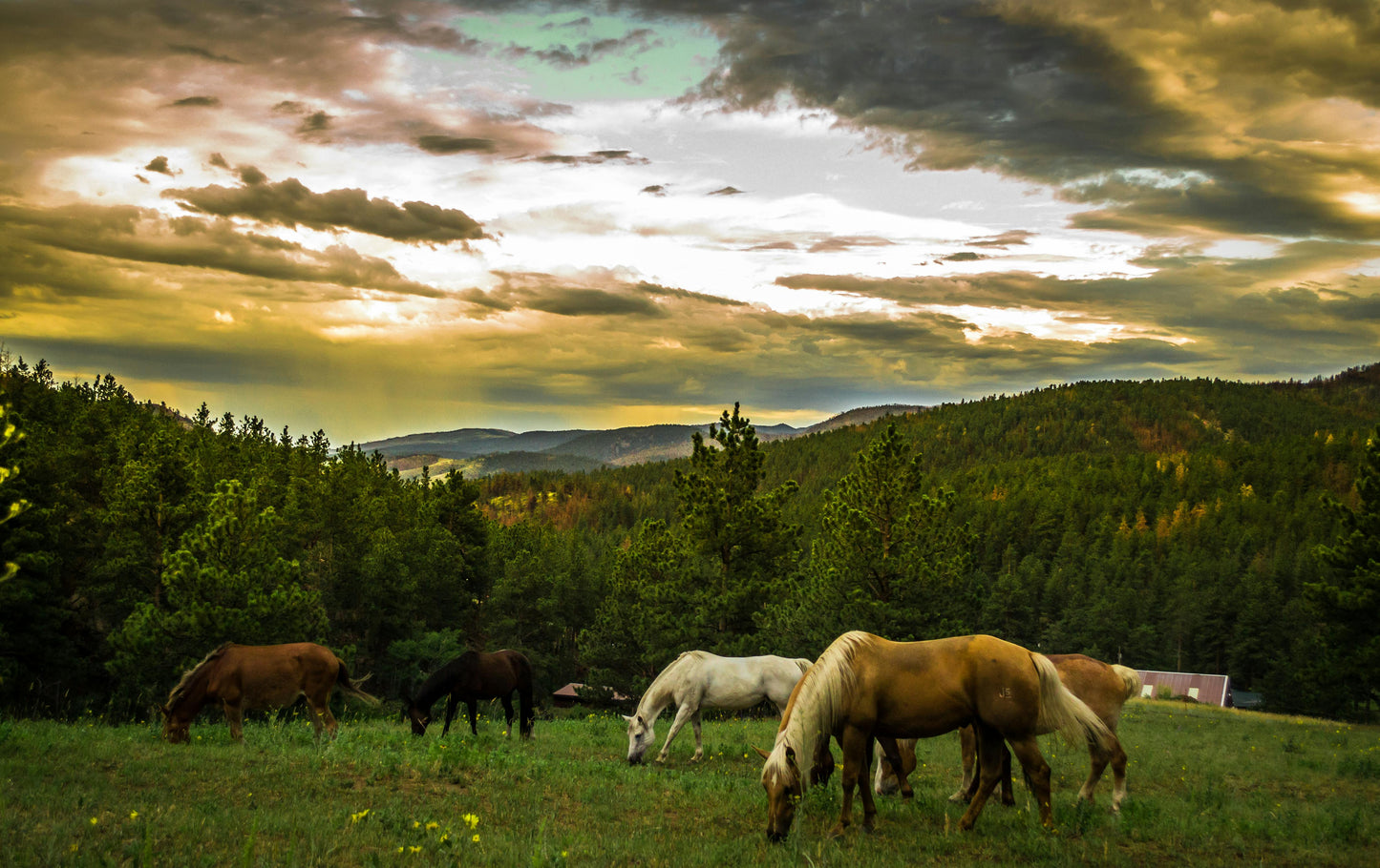 Kauai, Hawaii: 2-Hour Mahaʻulepu Horseback Tour with Ocean, Mountain & Valley Views