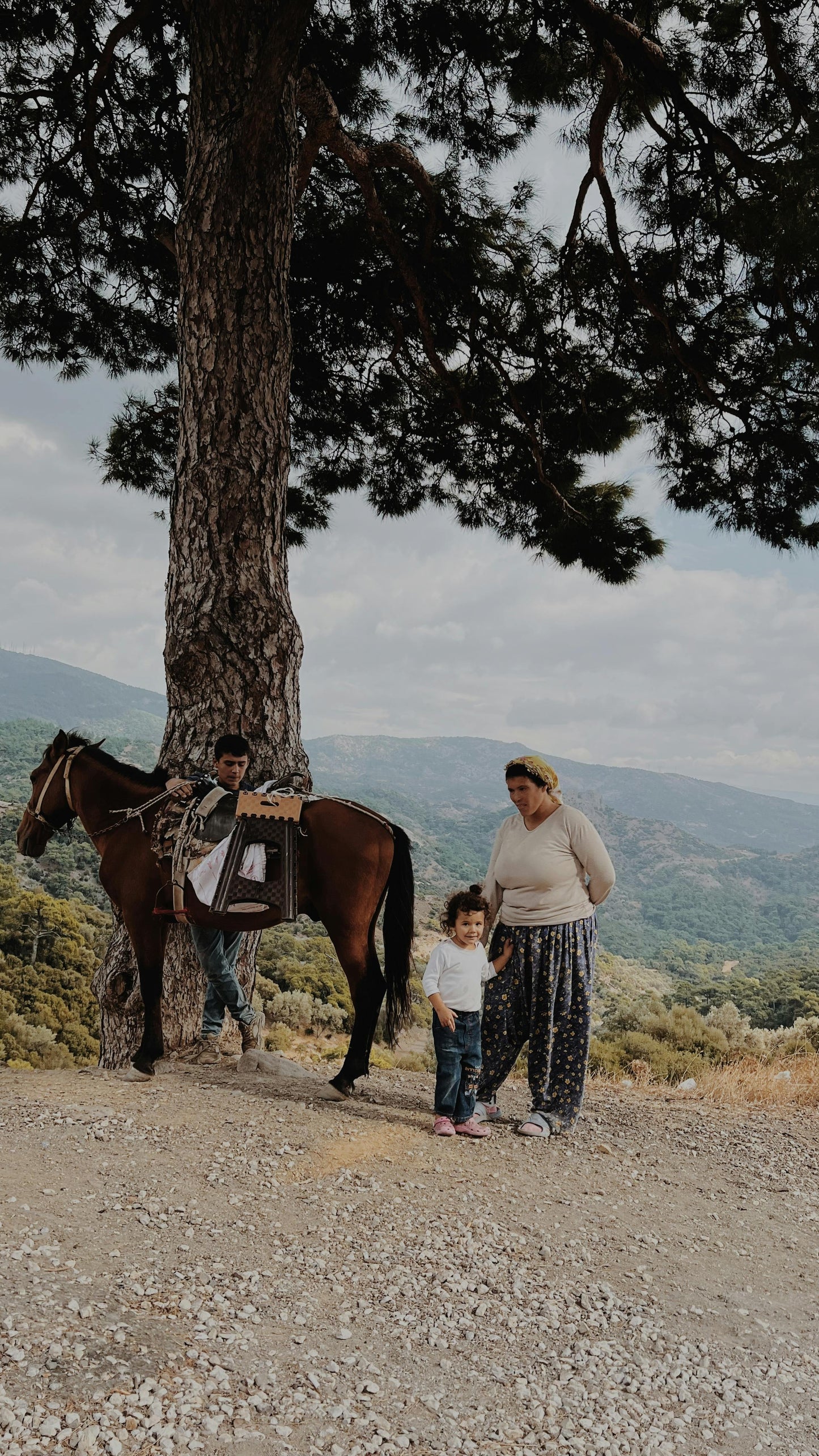 Santiago: Private Horseback Ride to Volcanoes + Lunch + Wine Tasting + Pick-Up & Drop-Off
