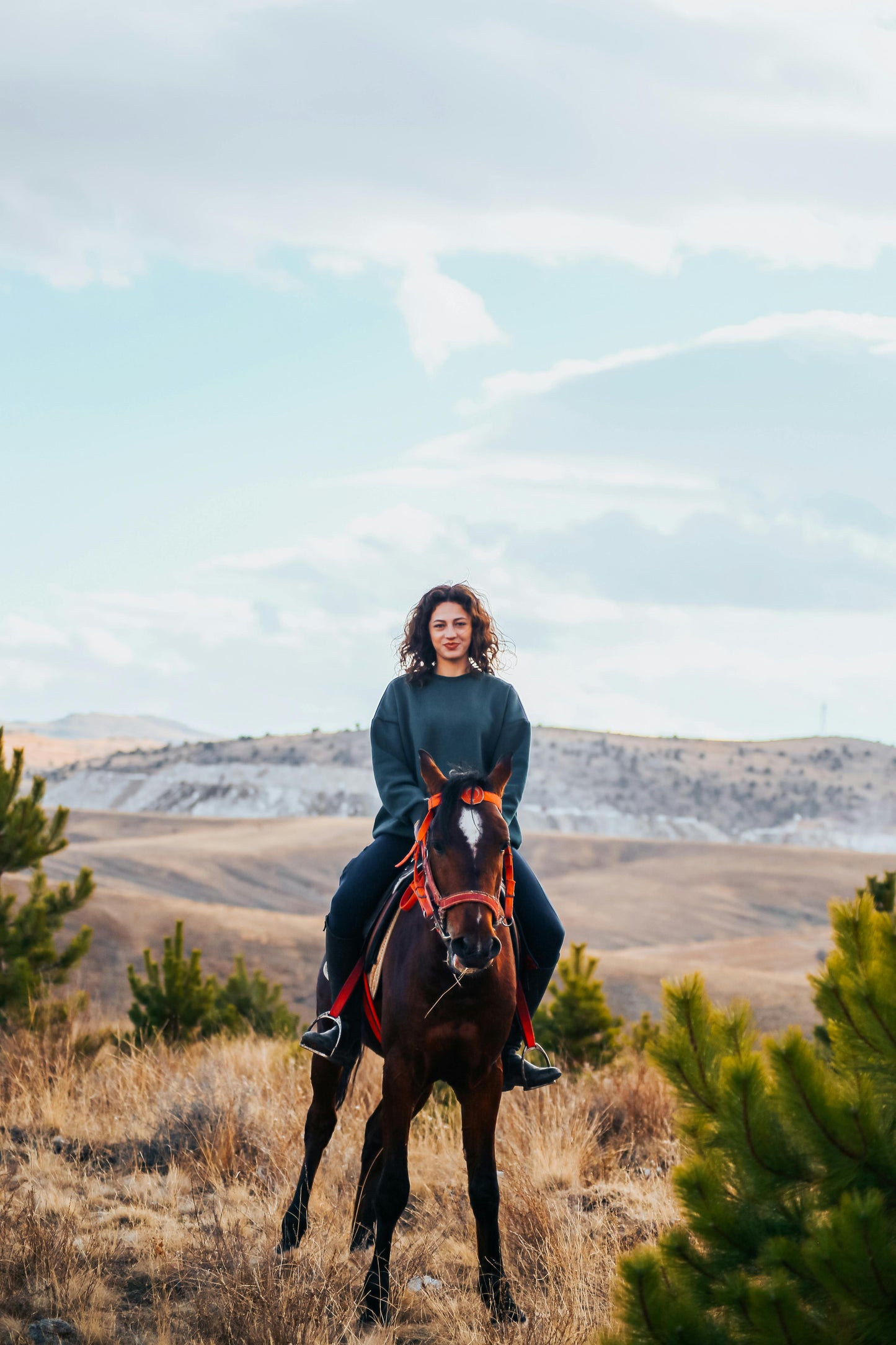 Lofoten, Norway: Full-Day Horseback Adventure on Gimsøy Island + Lunch
