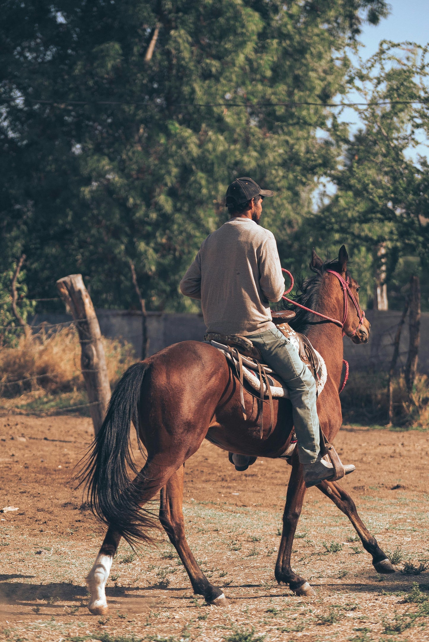 Kakheti, Georgia: Lagodekhi Horseback Riding Tour