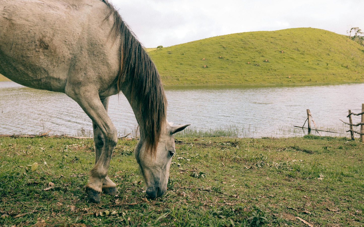 Gjirokaster, Albania: 2-Hour Drino Valley Trail Ride