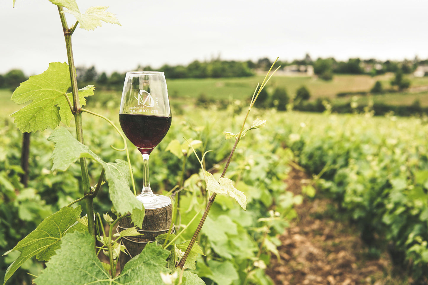Victoria, Australia: Winery Trail Ride + Pizza + Wine Tasting